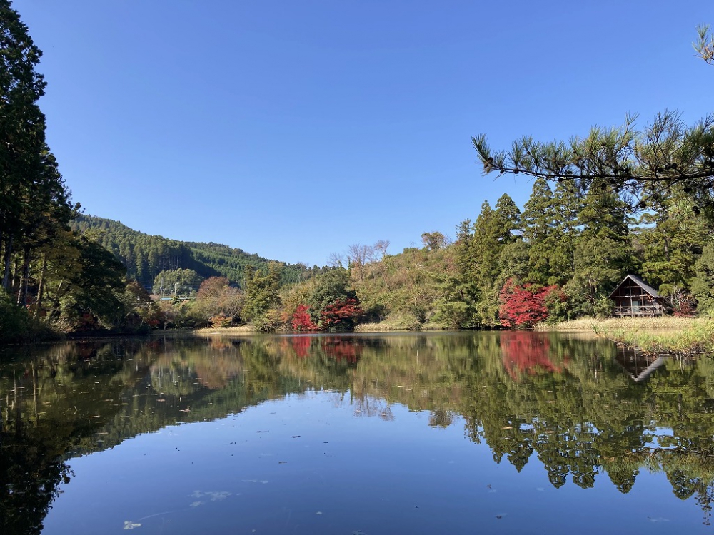 秋の麻生池