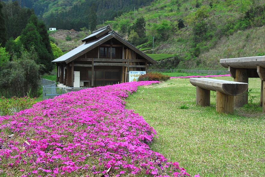 池の山キャンプ場