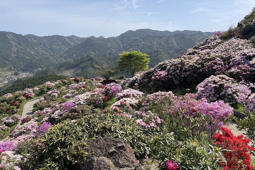 星の花公園